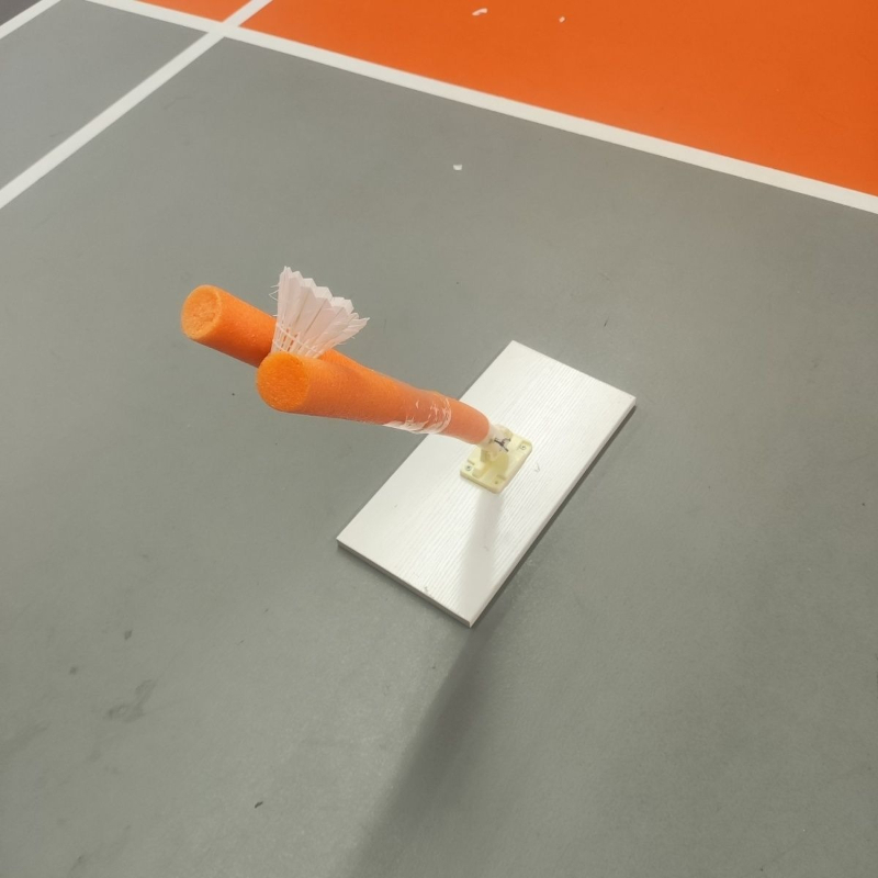 Dispositivo di Allenamento per - Sports Equipment For Badminton recensione e prezzo
