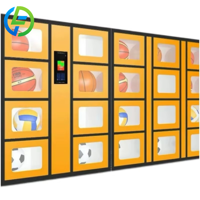 Armadietto Intelligente Person - Sports Equipment Rental recensione e prezzo