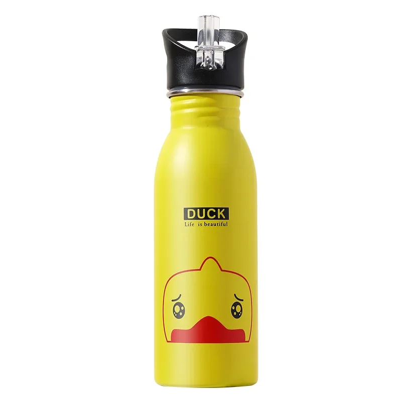 Bottiglia d'acqua in acciaio i - Sports Equipment Types recensione e prezzo